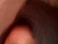 Hi , im new hereJust looking around