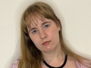 webcam live HyonGepner