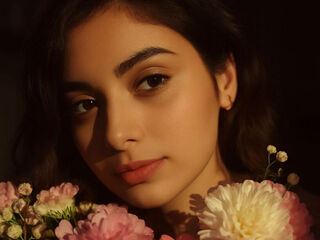 free livesex ZaylaAmin